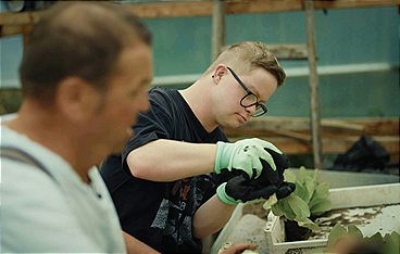 Herbstresidenz - Ein Jahr danach