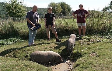 Martin Rütters Tierheimhelden