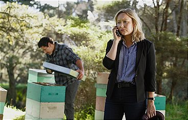 Brokenwood - Mord in Neuseeland