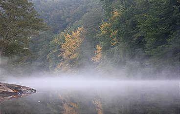 Die Wilde Wupper