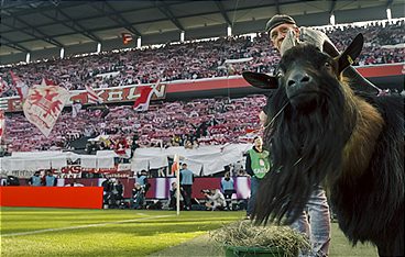Meine Heimat. Mein Verein.