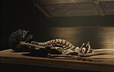 Ägypten - Welt der Pharaonen