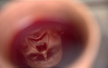 Julius Cäsar - Der Diktator